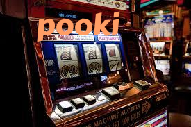 pooki editorial visual